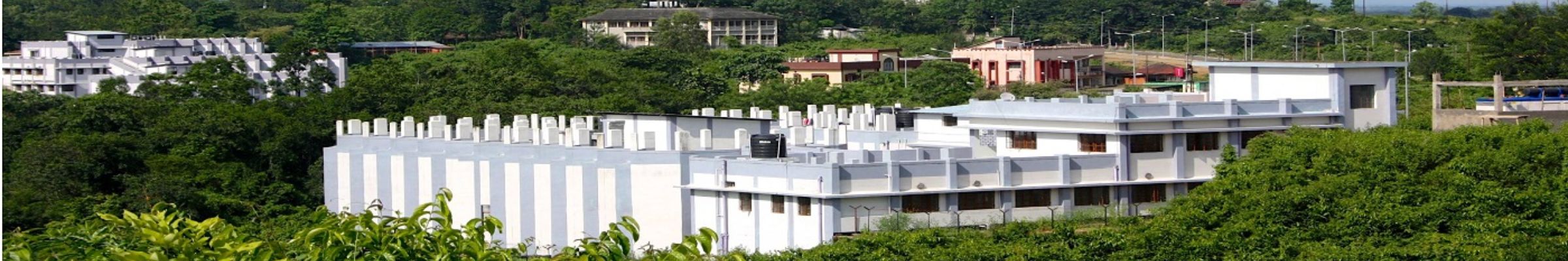 Assam University
