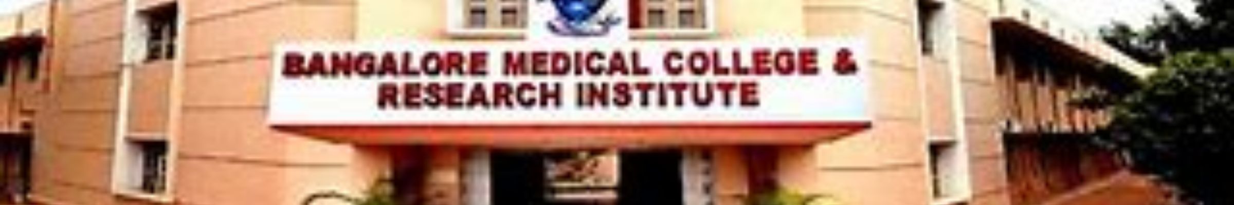 BMCRI