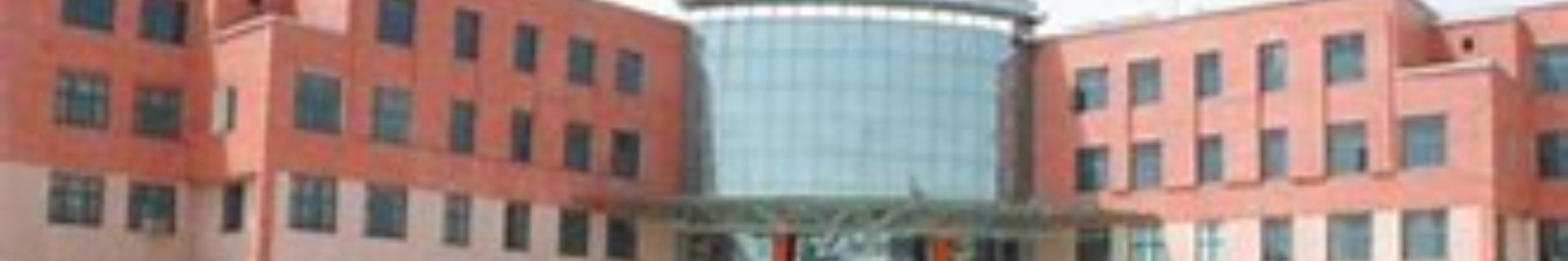 BPIT Delhi
