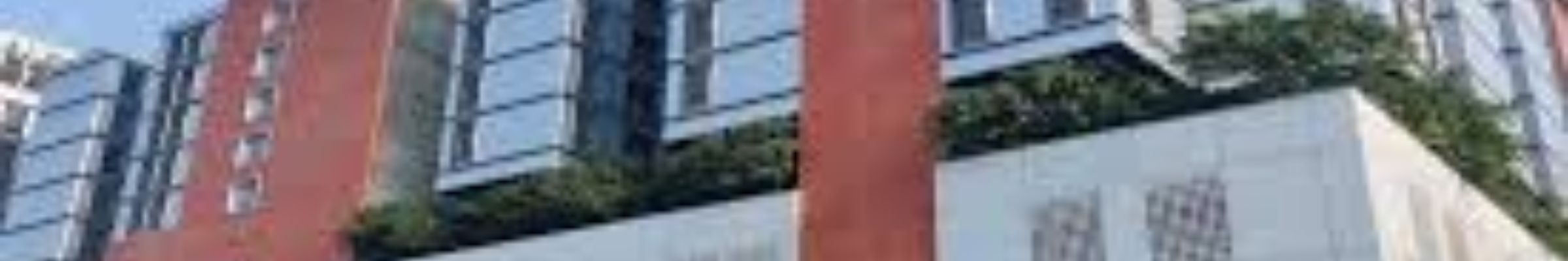 D Y Patil University School Of Arts and Commerce