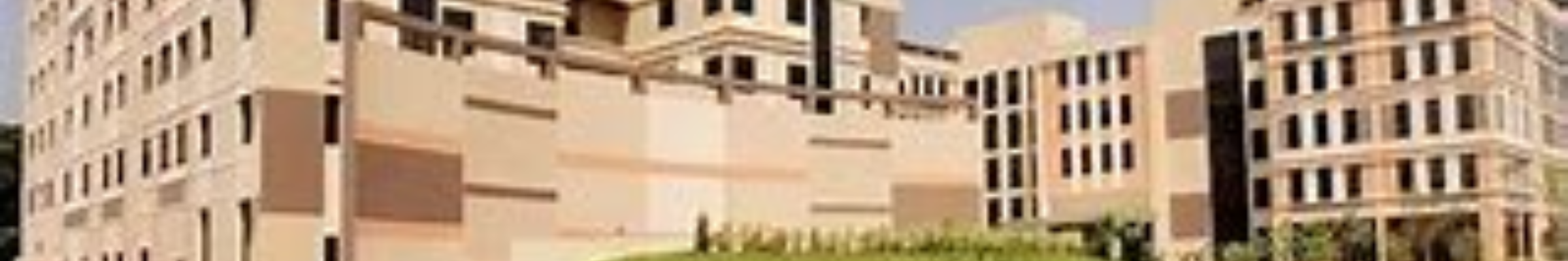 GD Goenka University