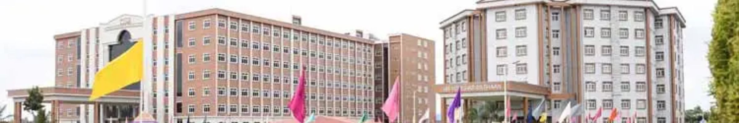 GITAM School of Technology, Bengaluru