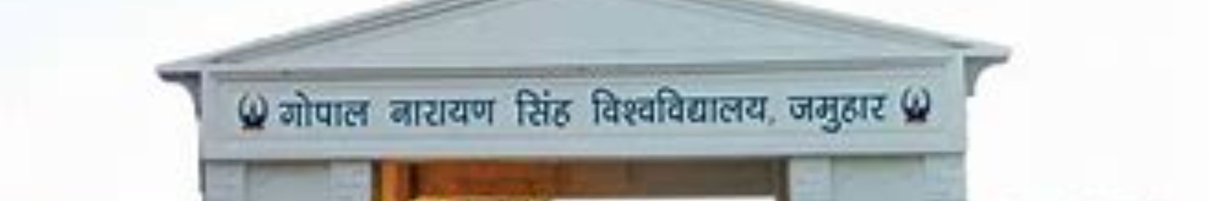 Gopal Narayan Singh University