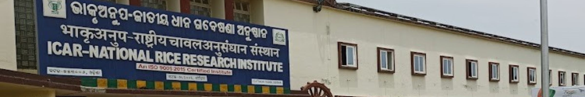 ICAR - NRRI