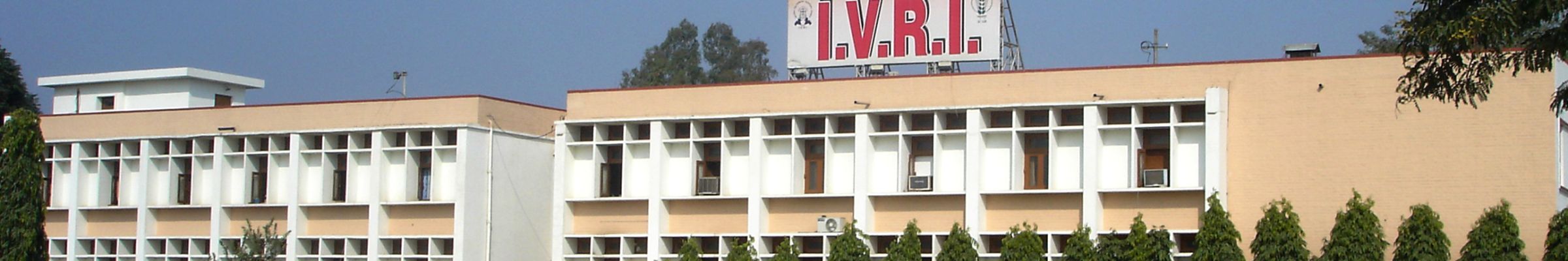 IVRI