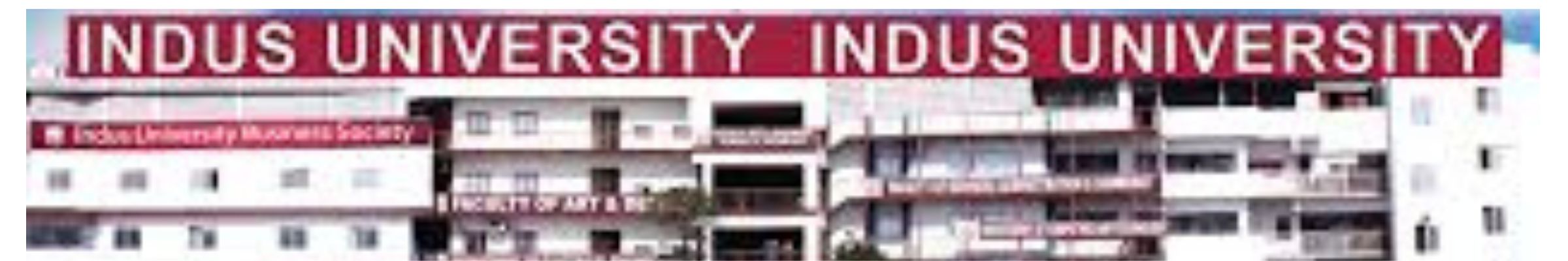 Indus University