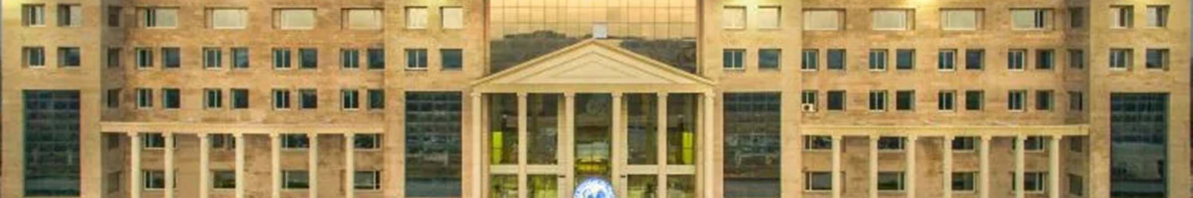 KR Mangalam University