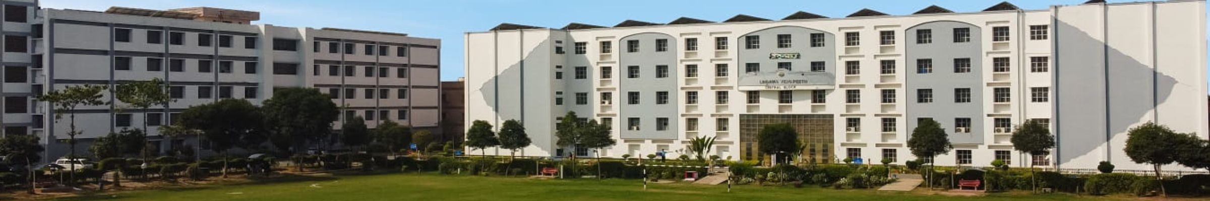 Virohan: Lingaya's Vidyapeeth University, Faridabad