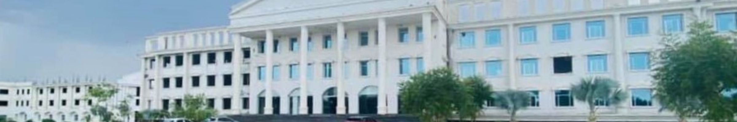 Nirwan University Jaipur