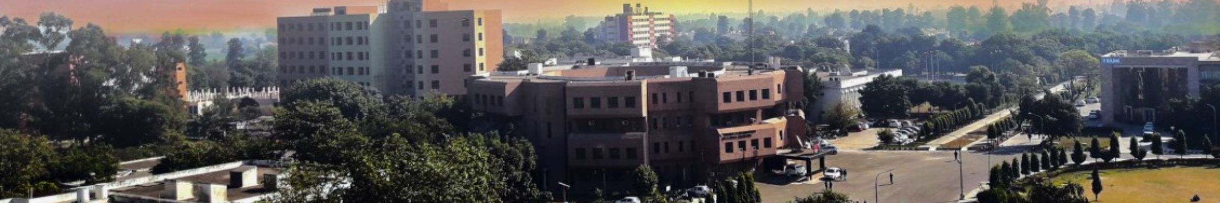 NIT Jalandhar