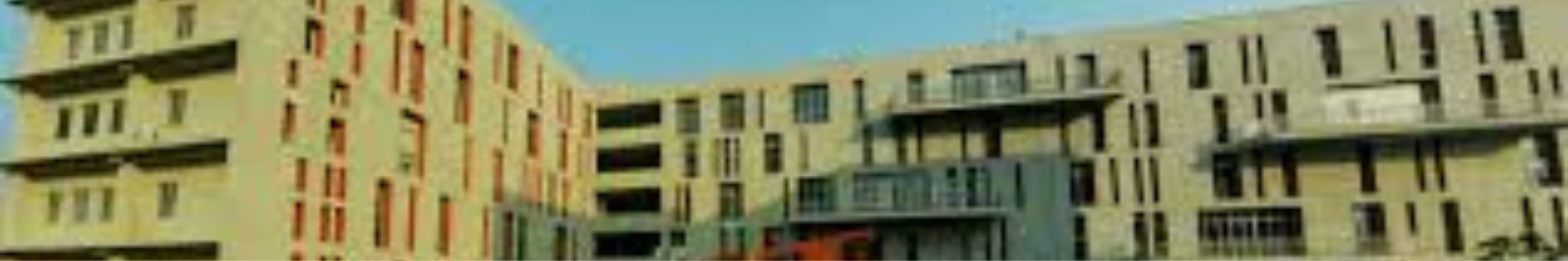 Navrachana University