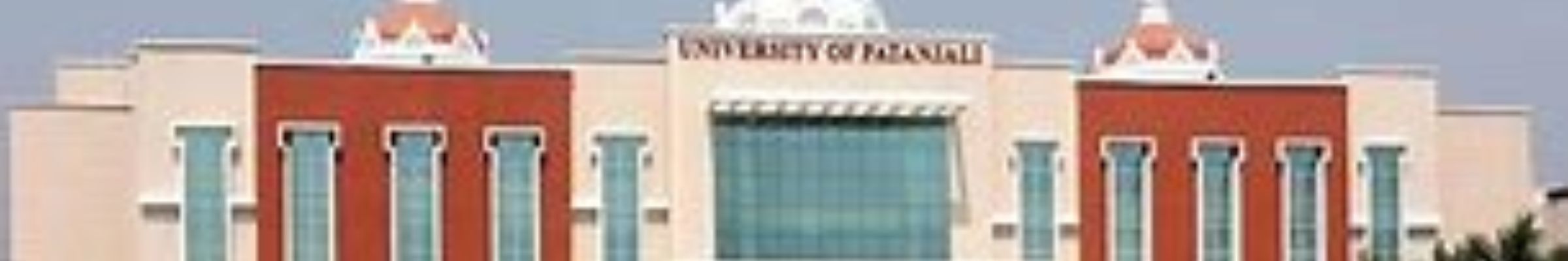 Patanjali University