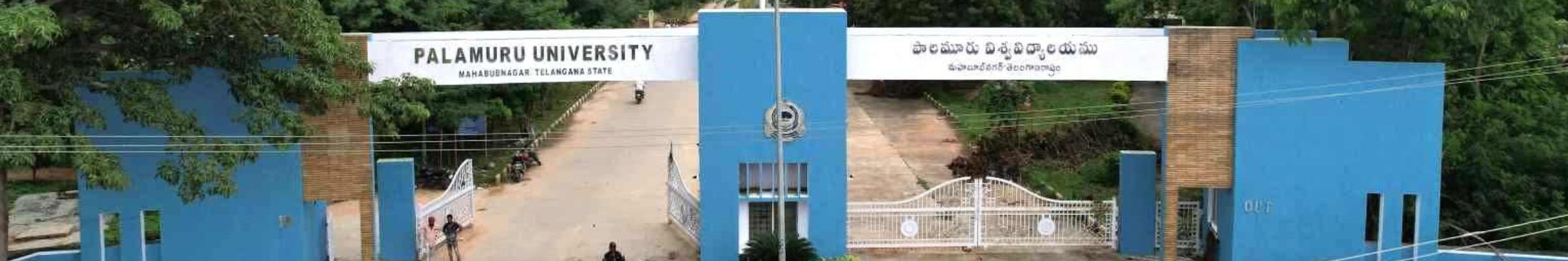 Palamuru University
