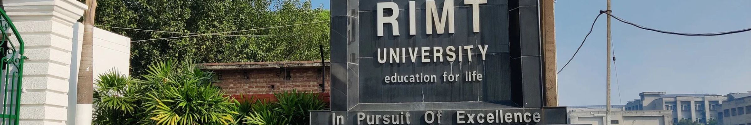 RIMT University