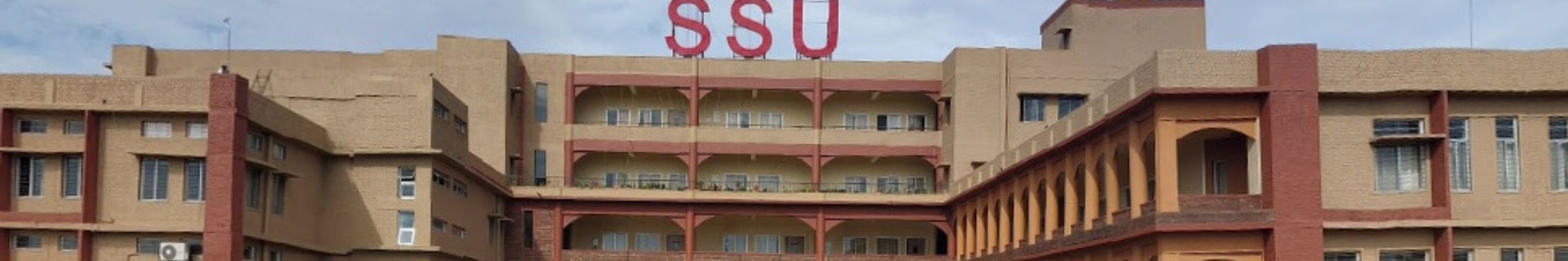 Sri Sri University