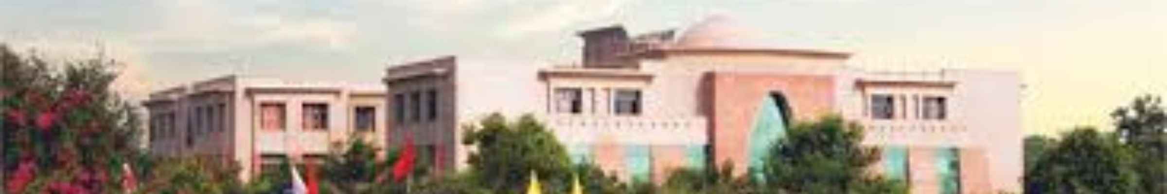 Singhania University