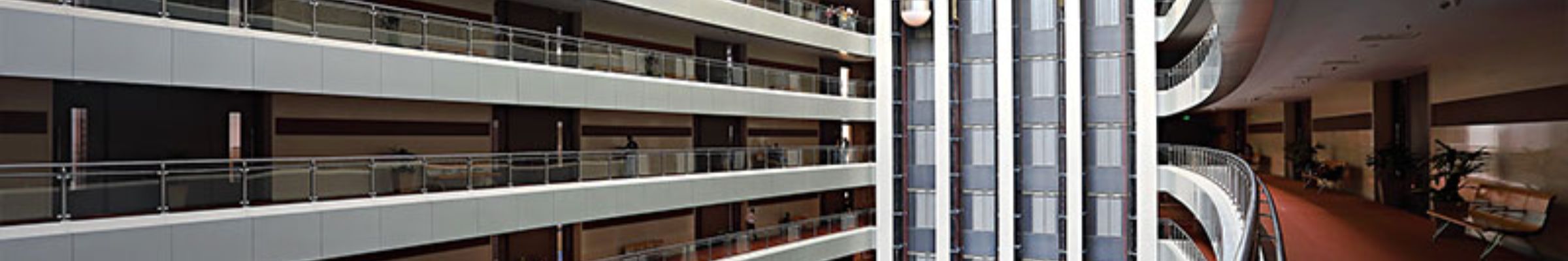 SVKM'S NMIMS - IIPS
