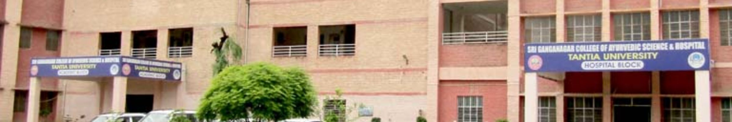 Tantia University
