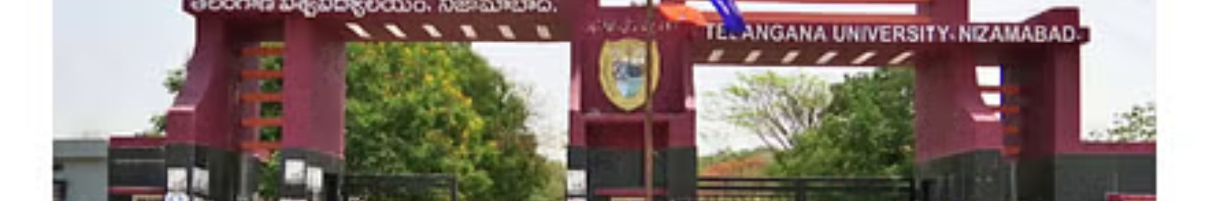 Telangana University