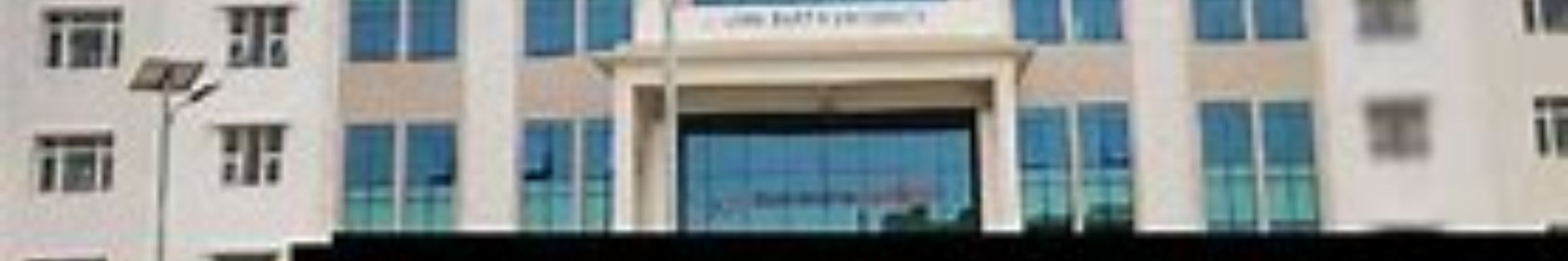 Usha Martin University