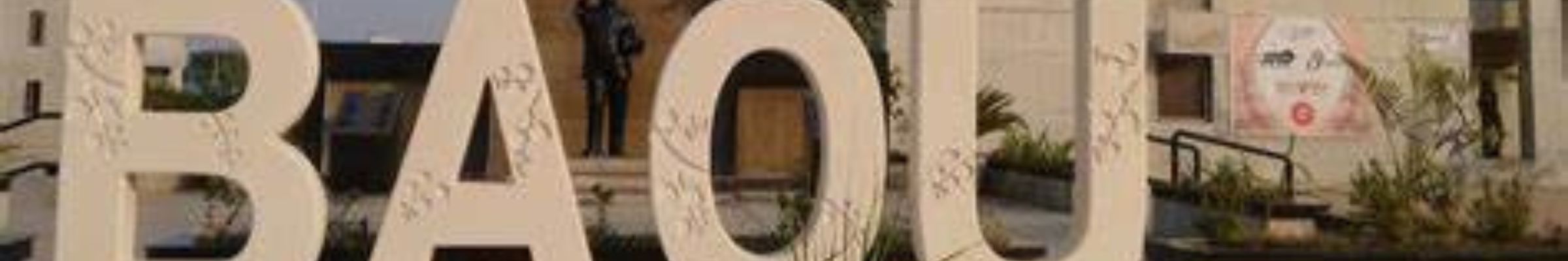 Ambedkar Open University