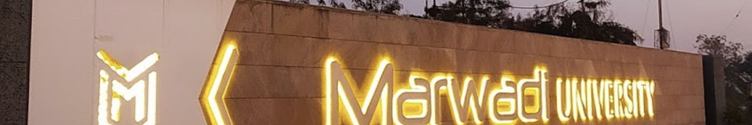 Marwadi University