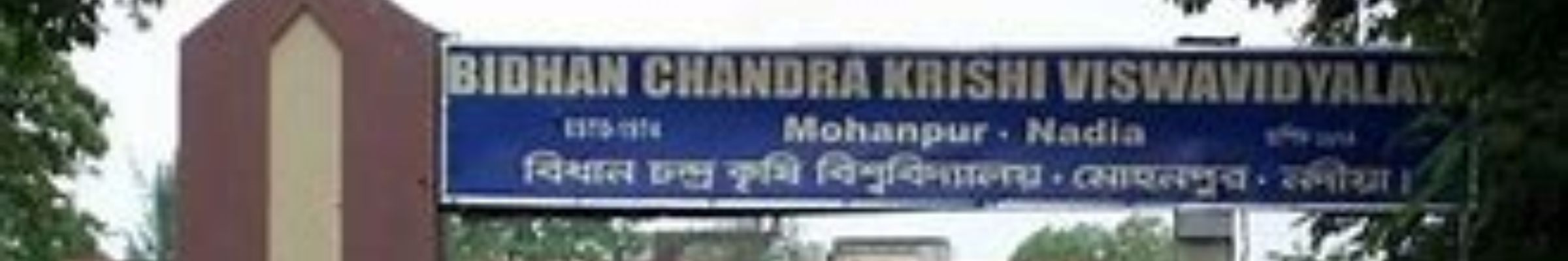 Bidhan Chandra Krishi Viswavidyalaya