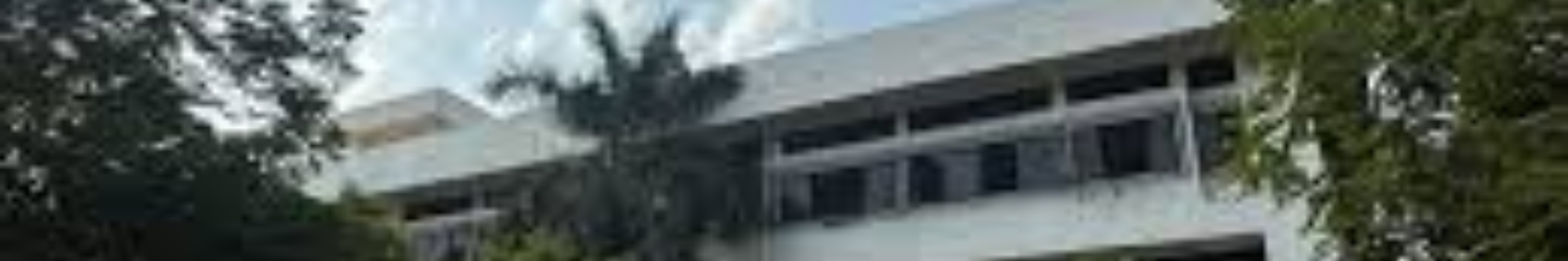BSS Foundation - School of Management