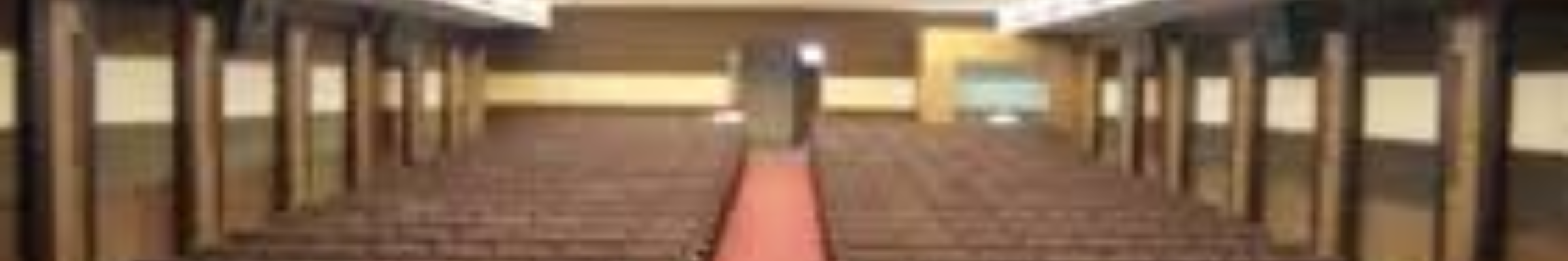 DMHSL
