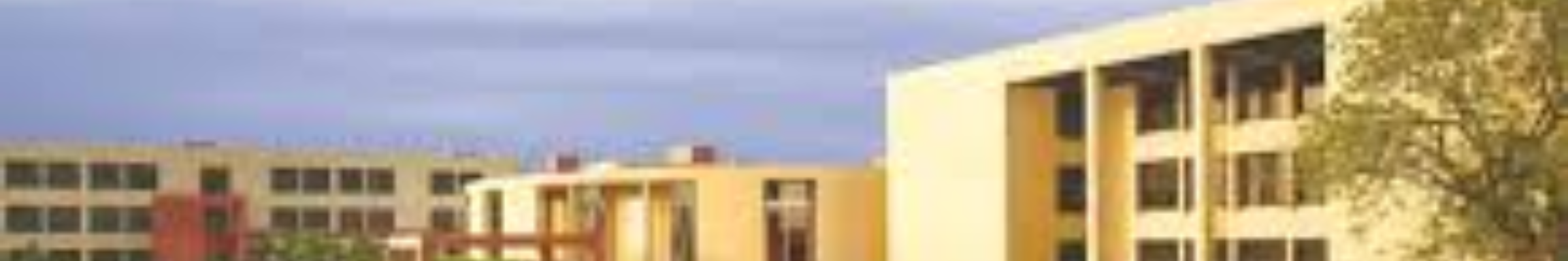 Dr. Subhash University