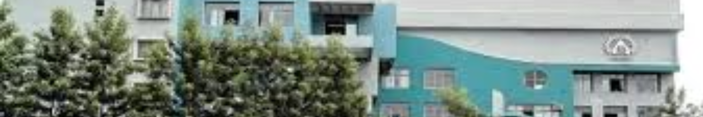 Indira Institute of Management