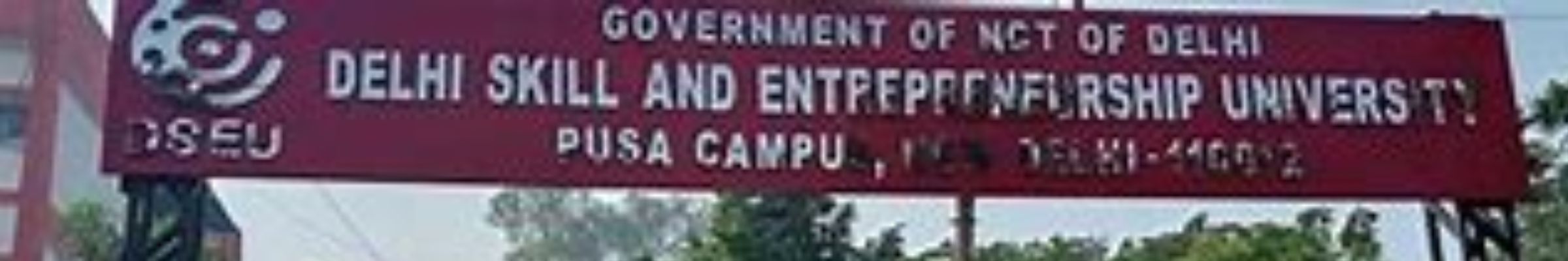 Delhi Skill and Entrepreneurship University