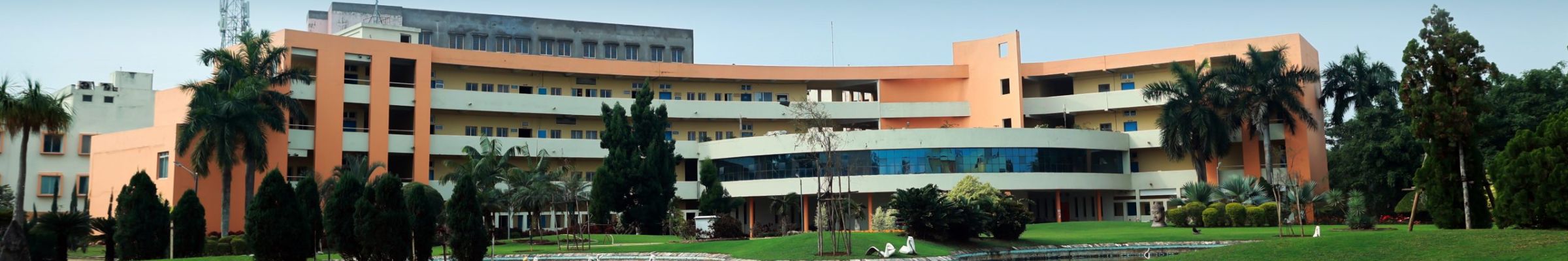 C. V. Raman Global University