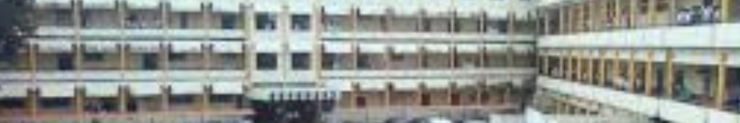 D.Y. Patil Education Society