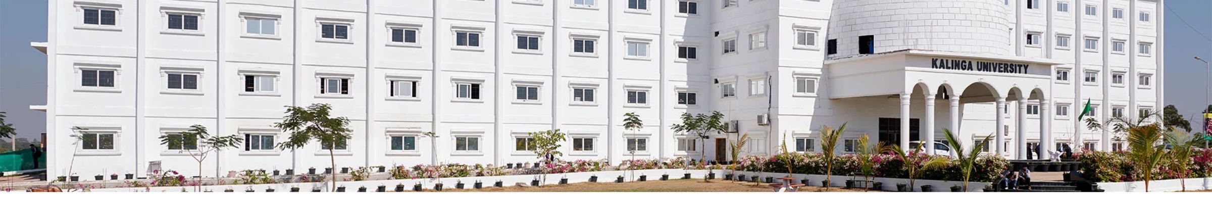Kalinga University