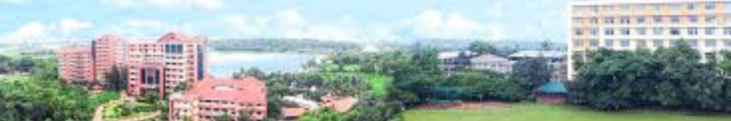 Rajagiri College of Social Sciences