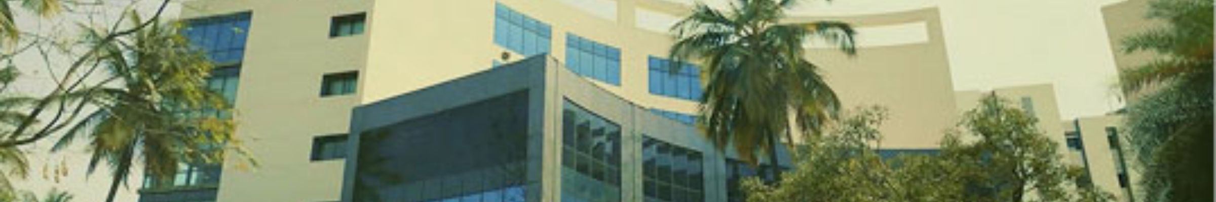S-Vyasa University