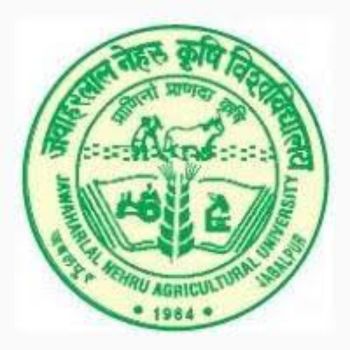 JNKVV logo