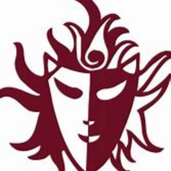 NSD Delhi logo