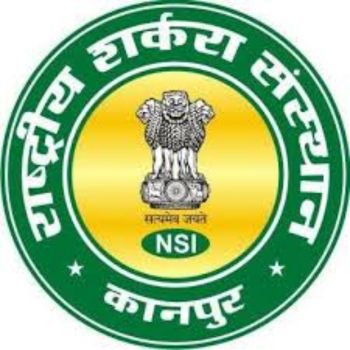 NSI logo