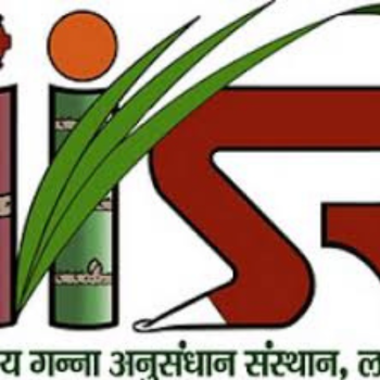 IISR logo